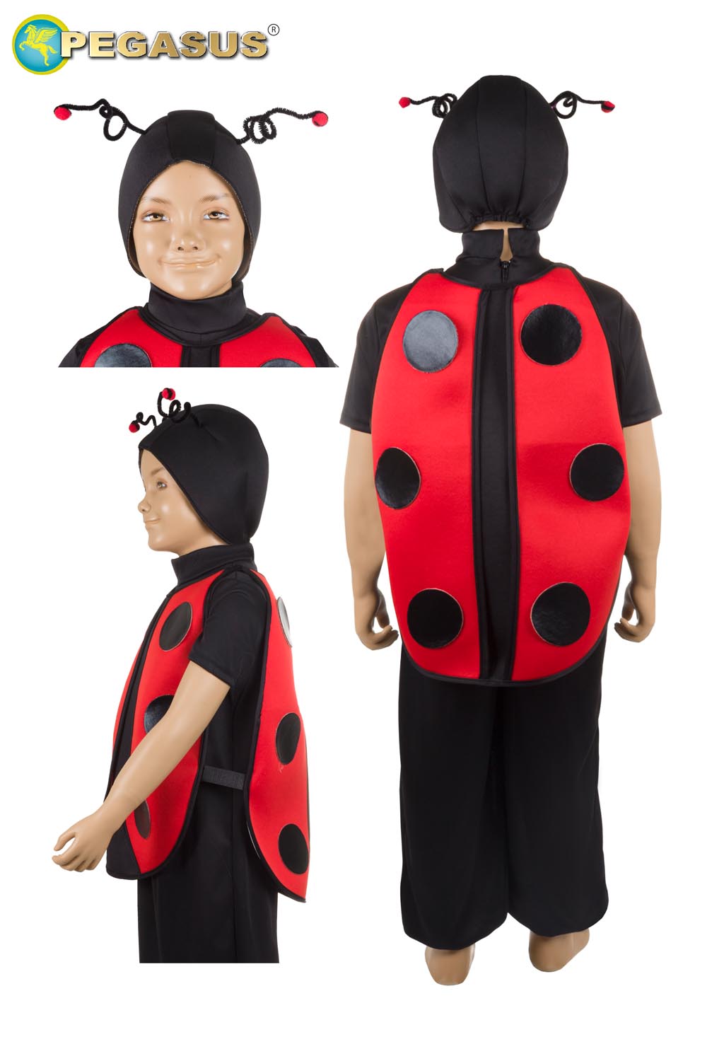 COCCINELLA